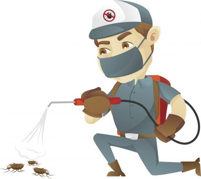 Reliable Pest Control for Pest Control in Hillsboro, OR